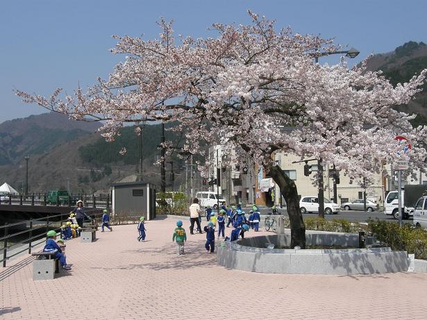 釜石市内の桜の名所 | 釜石市
