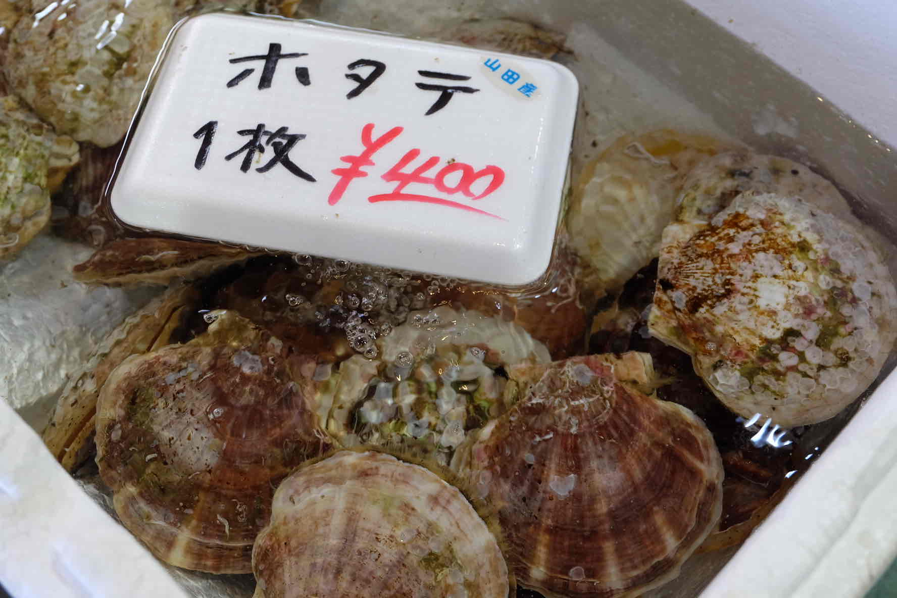 宮川商店_ホタテ 5