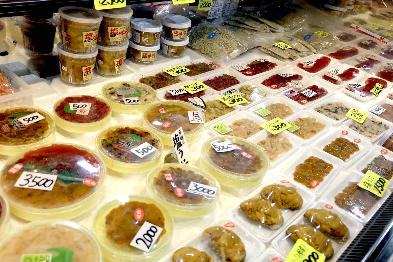 昆政商店_ウニ 6