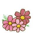 コスモス