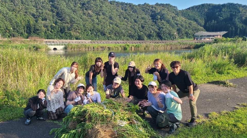 東海大学　セイダカアワダチソウ抜き