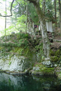 瀧澤神社奥の院と沢桧川
